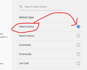 Select Watch History Tab