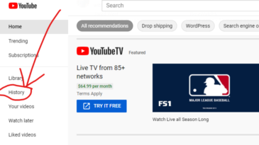 YouTube Watch History