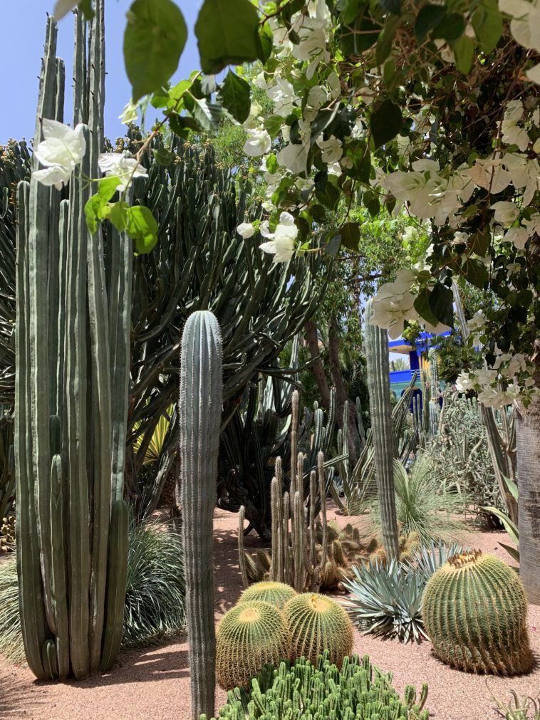 Making Money on Mercari