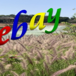 Increase your eBay Sales